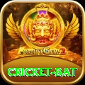 cricket bat Games Pro
