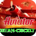 india pakistan cricket Pakistan Extreme v2.0.6