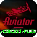 international cricket Master APK v2.2.9