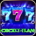 ireland cricket team Bonus Ultimate v1.8.9