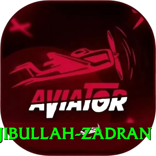 najibullah zadran Earn King v4.9.7 - 2