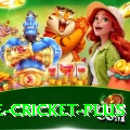 one cricket Live Casino Elite