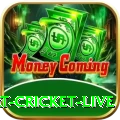smart cricket live Live Prime
